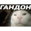 😠