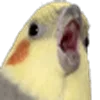 😱