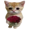 🐈