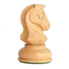 ♟️