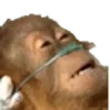 😵