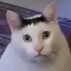 🫣