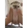 🤗
