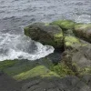 🌊