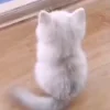 👀