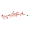 🌸