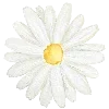 🌼