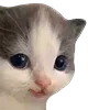 🙂