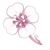 🌸