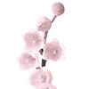 🌸