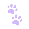 🐾