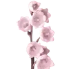 🌸