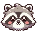 🦝