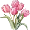 🌷
