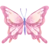 🦋