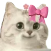 😽