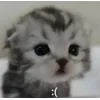 😦