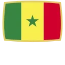 🇸🇳