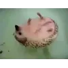 ☺️