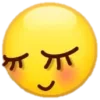 ⭐️