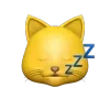 🌟