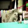 🥳