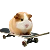 🐭