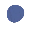 🔵