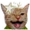 😝