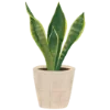 🌿