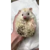 ☺️