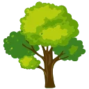 🌳