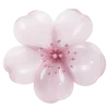 🌸