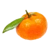 🍊