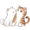 🐱