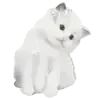 🐈‍⬛