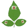 🌿