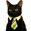 🐈‍⬛