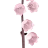 🌸