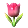 🌷
