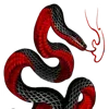 🐍