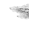 🪽