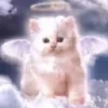 😇