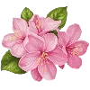 🌸