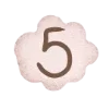 5️⃣