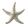 ⭐️
