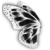 🦋