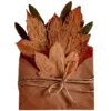 🍁