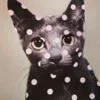 🐈‍⬛