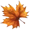 🍁